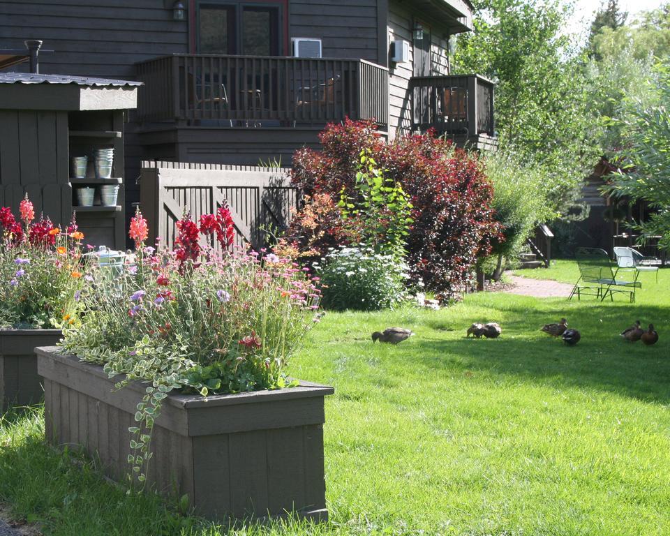 Inn On The Creek Jackson Exterior photo